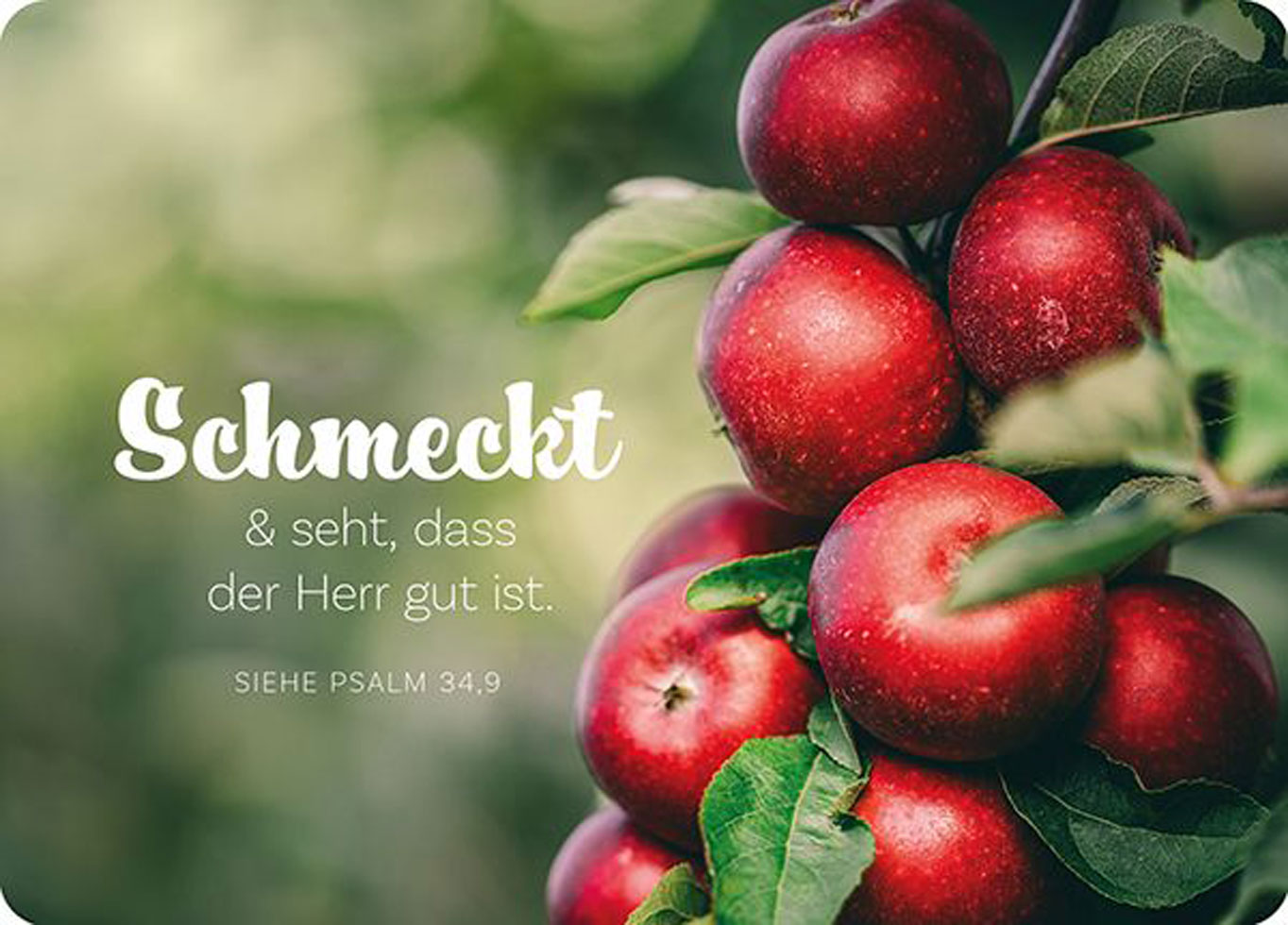 Postkarte "Big Blessing - Schmeckt und seht" - Äpfel
