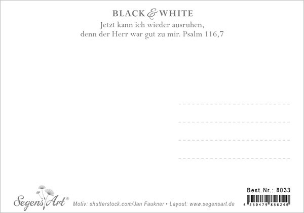 15-8033_02 Postkarte "Gräser"
