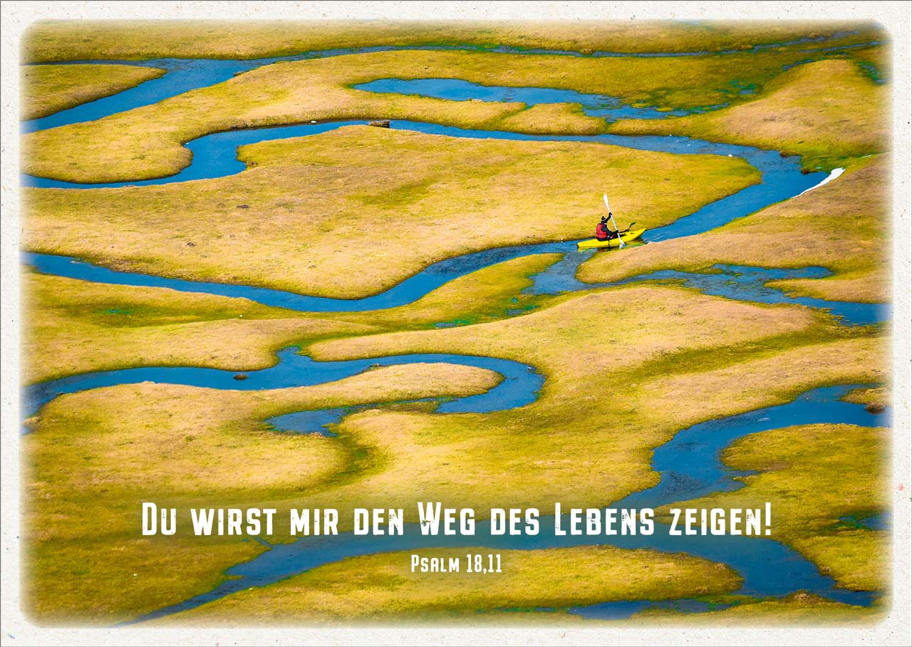 Postkarte "Weg des Lebens"