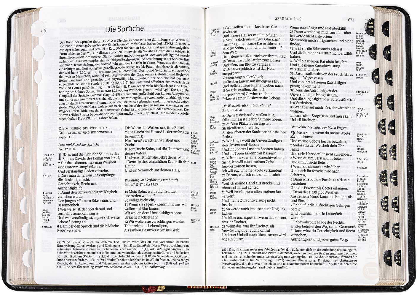 Schlachter 2000 Taschenausgabe - flex.Kalbsleder schwarz / Goldschnitt / Griffregister