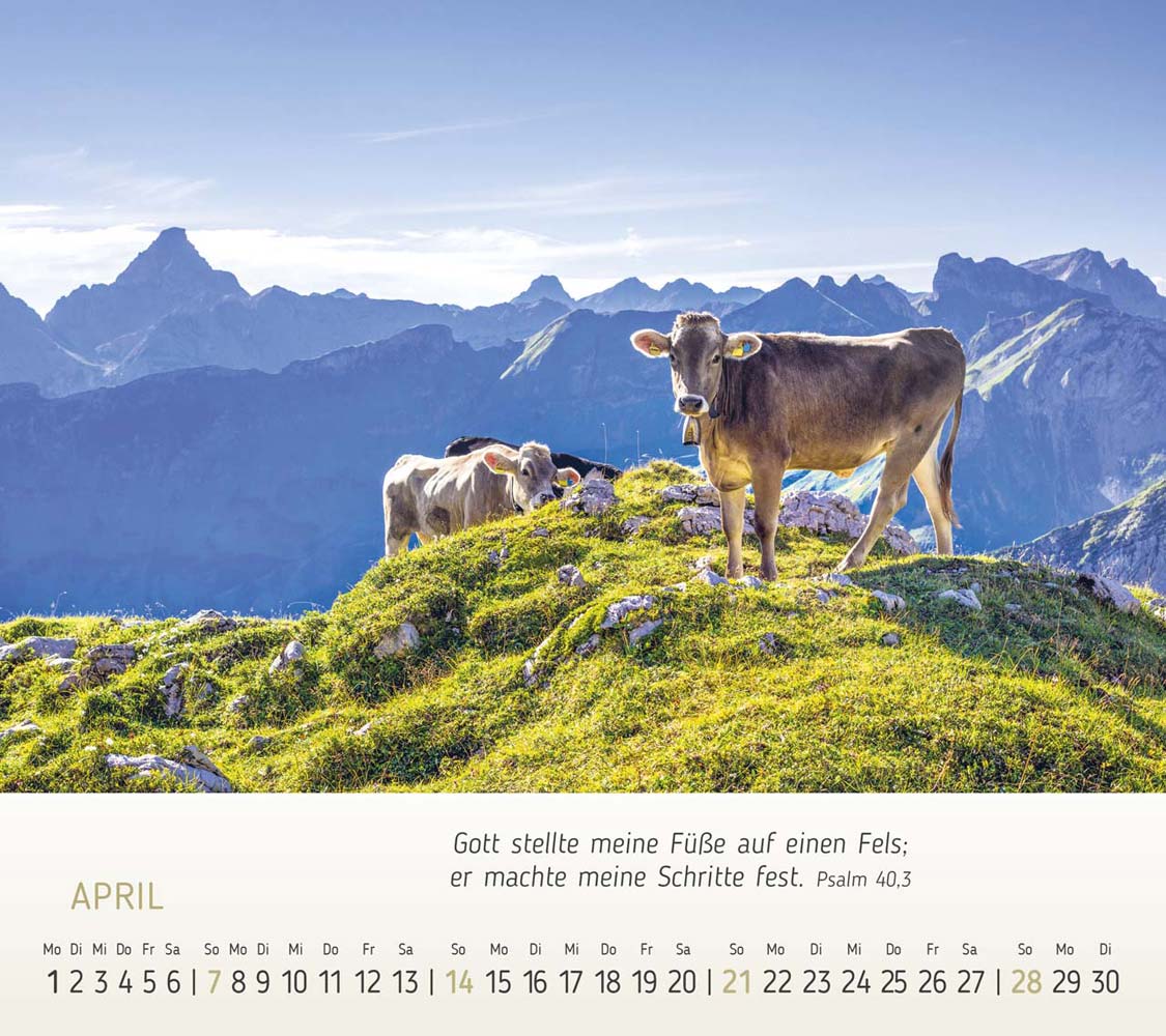 Wunderbare Bergwelt 2024 Wunderbare Bergwelt 2024