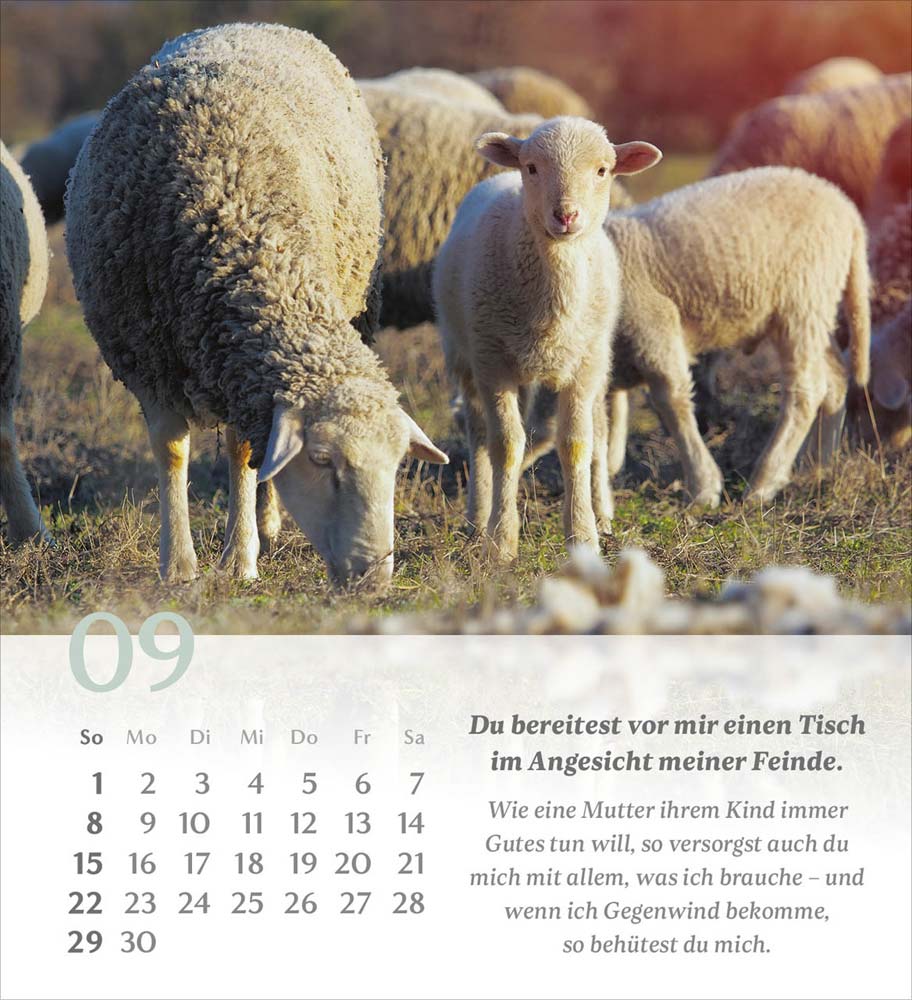 Psalm 23 - Tischkalender 2024 Psalm 23 - Tischkalender 2024