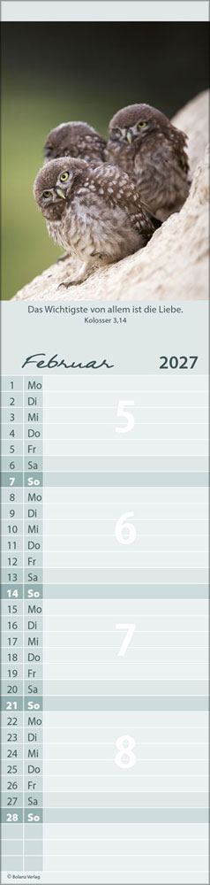 Für Euch 2027 - Streifenterminer