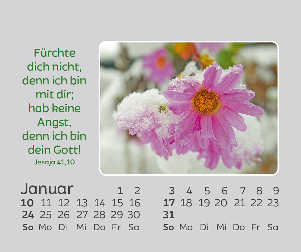 Freude für jeden Tag 2027