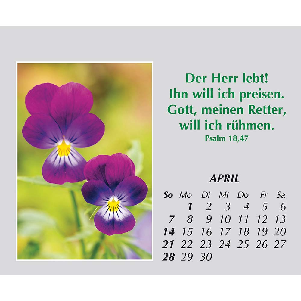 Freude für jeden Tag 2024 Freude für jeden Tag 2024