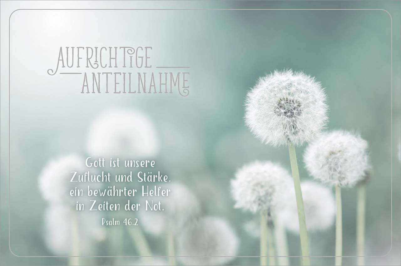 Faltkarte "Pusteblume" Faltkarte "Pusteblume"