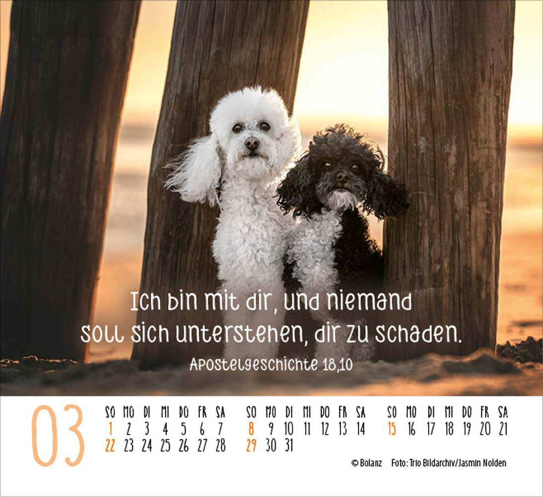 Hunde 2026 - Minikalender Hunde 2026 - Minikalender