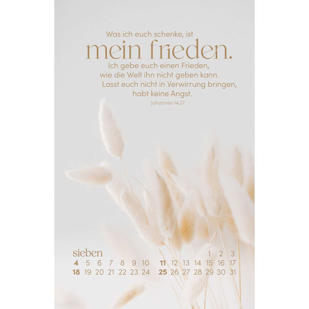 Sein Wort. Dein Fels. 2027 - Postkartenkalender mit Holzaufsteller