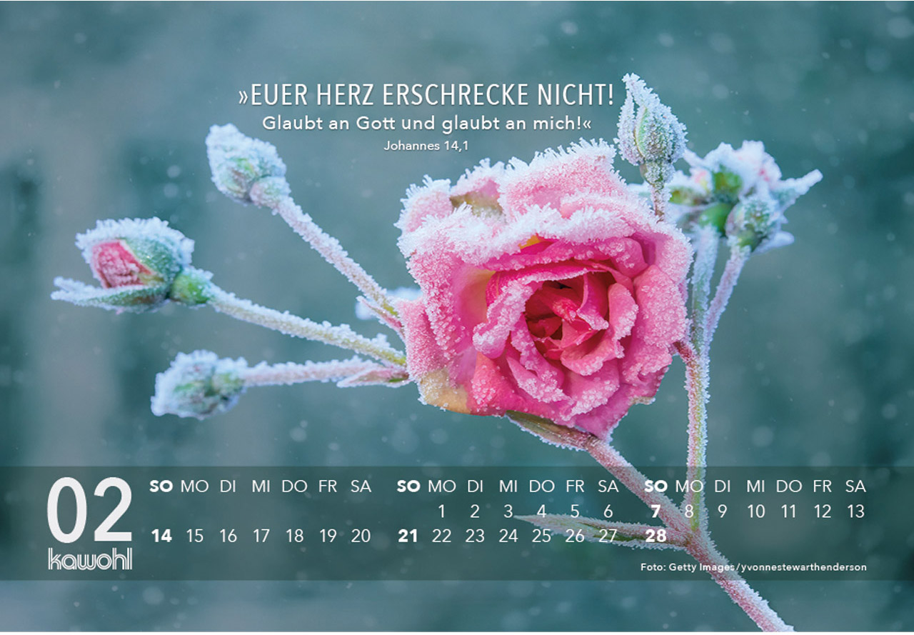 Jesus Zitate 2027 - Aufstellkalender
