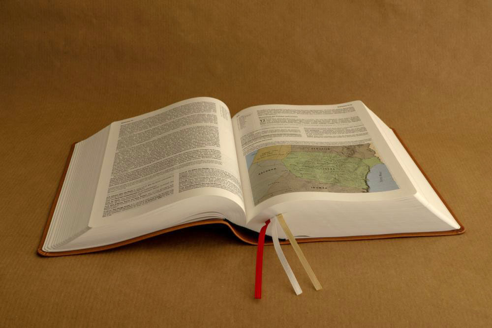 Elberfelder Bibel 2006 Studienausgabe - Kunstleder braun