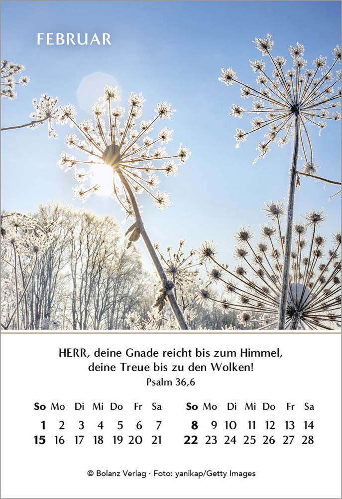 Ein Jahr der Hoffnung 2026