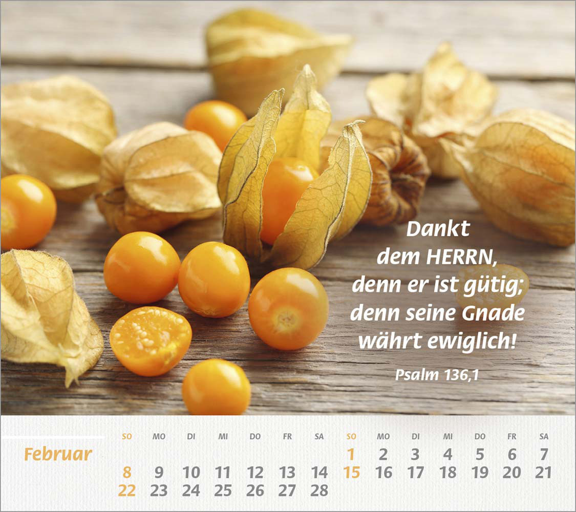 Du bist meine Stärke 2026