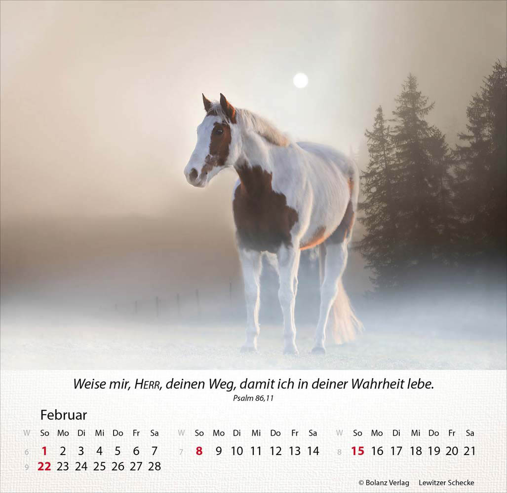 Pferde 2026 - Tischkalender