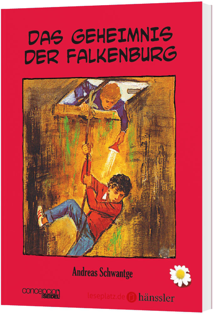 Das Geheimnis der Falkenburg