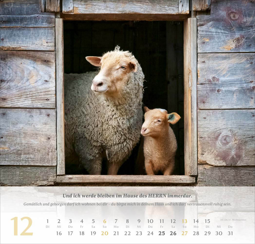 Psalm 23 - Wandkalender 2026