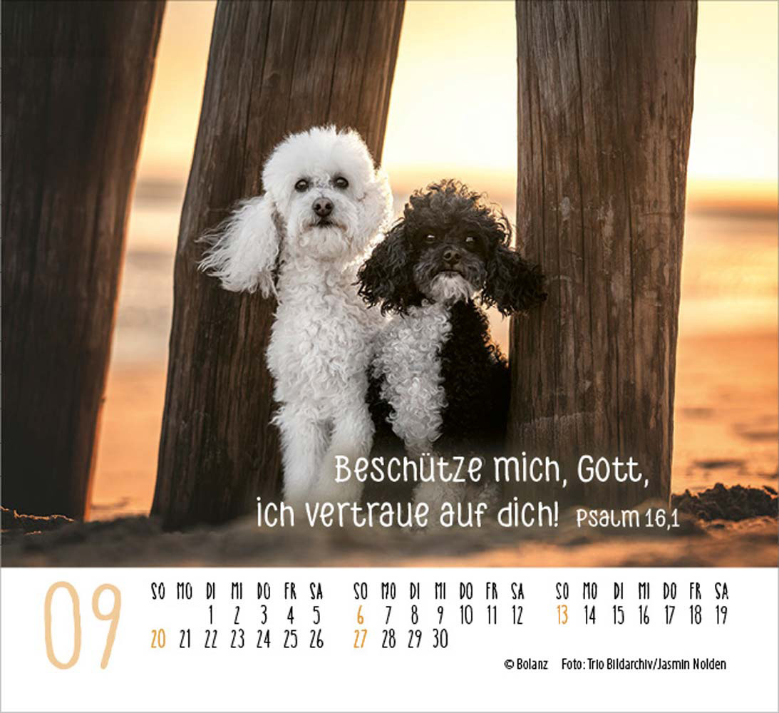 Begegnungen 2026 - Minikalender