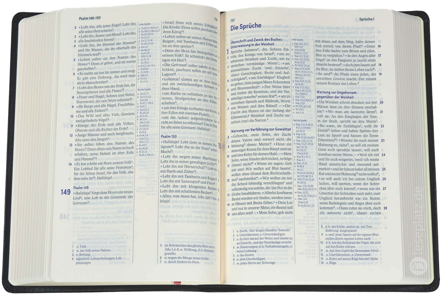 Elberfelder Bibel 2006 Standardausgabe - Kunstleder schwarz