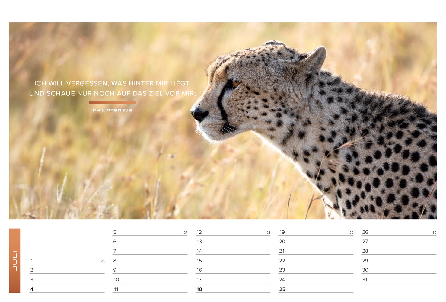 Life-is-More 2027 - Panoramakalender (M-Format)