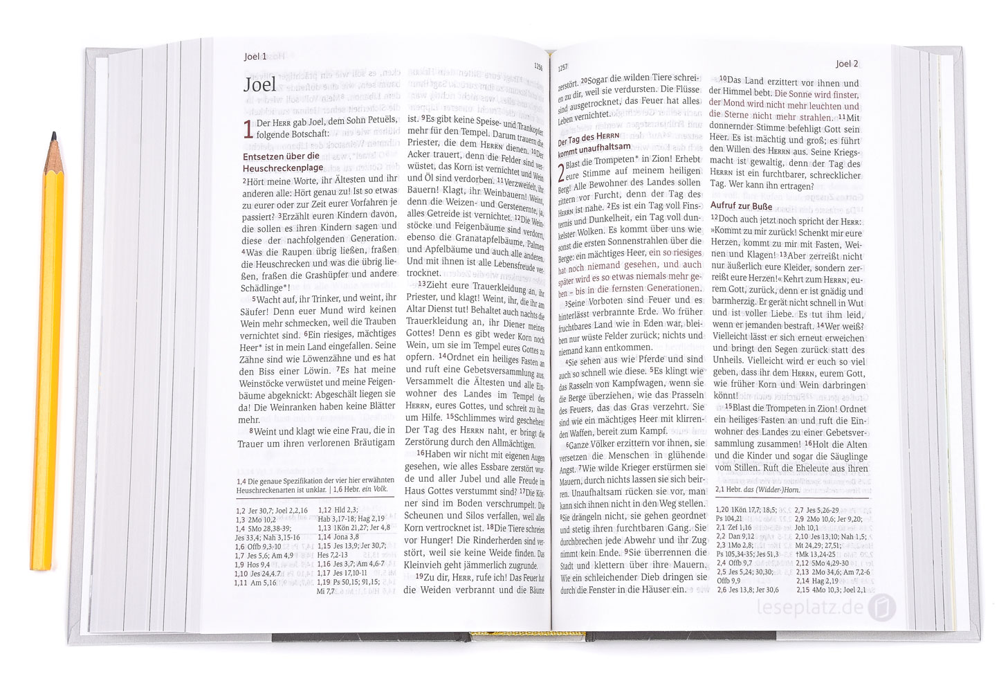 Neues Leben. Die Bibel - Standardausgabe "Grace & Hope"
