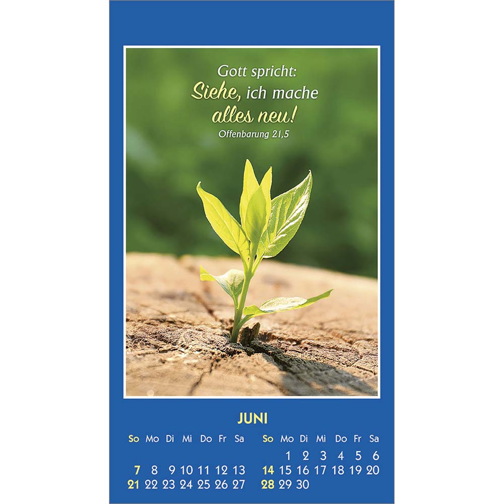 Gottes Wort - Licht für den Tag 2026 - Aufkleberkalender