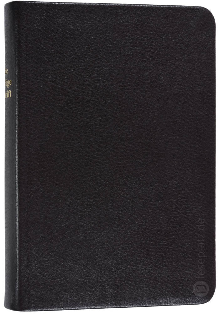 Elberfelder 2003 - kl.Schreibrandausgabe / Leder dunkelbraun Rotgoldschnitt