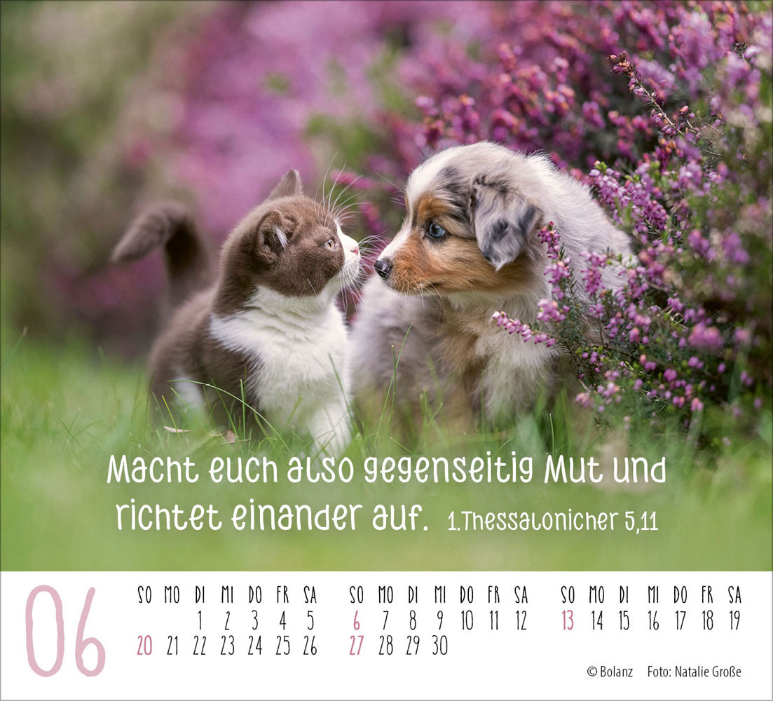 Begegnungen 2027 - Minikalender
