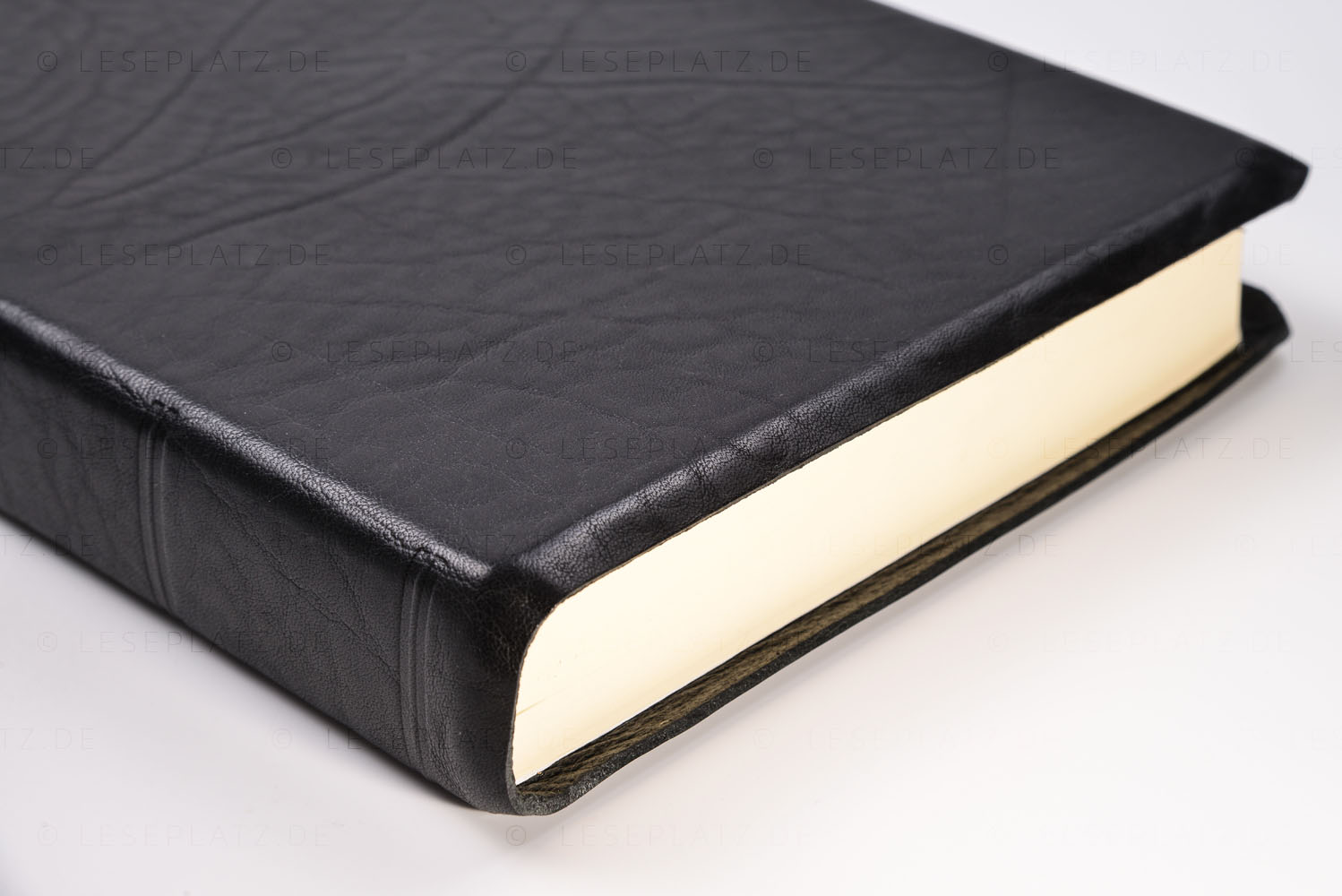 neu-184032_04-neu MacArthur Studienbibel - in Leder gebunden