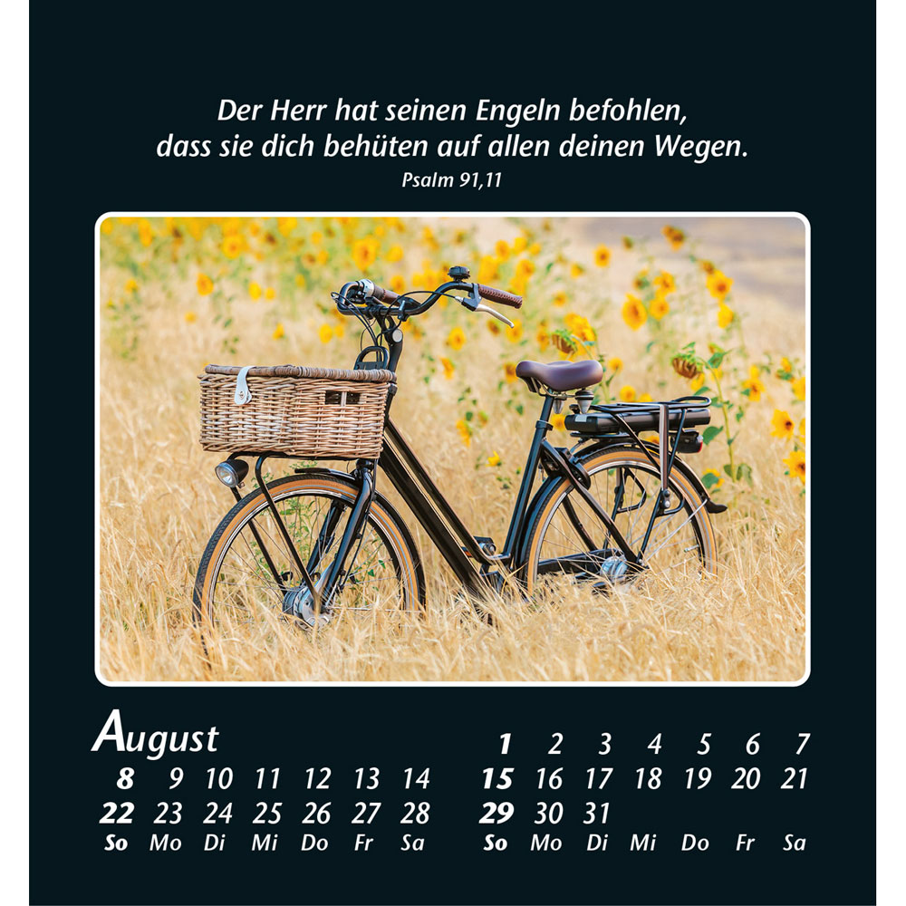 Zeit der Stille 2027