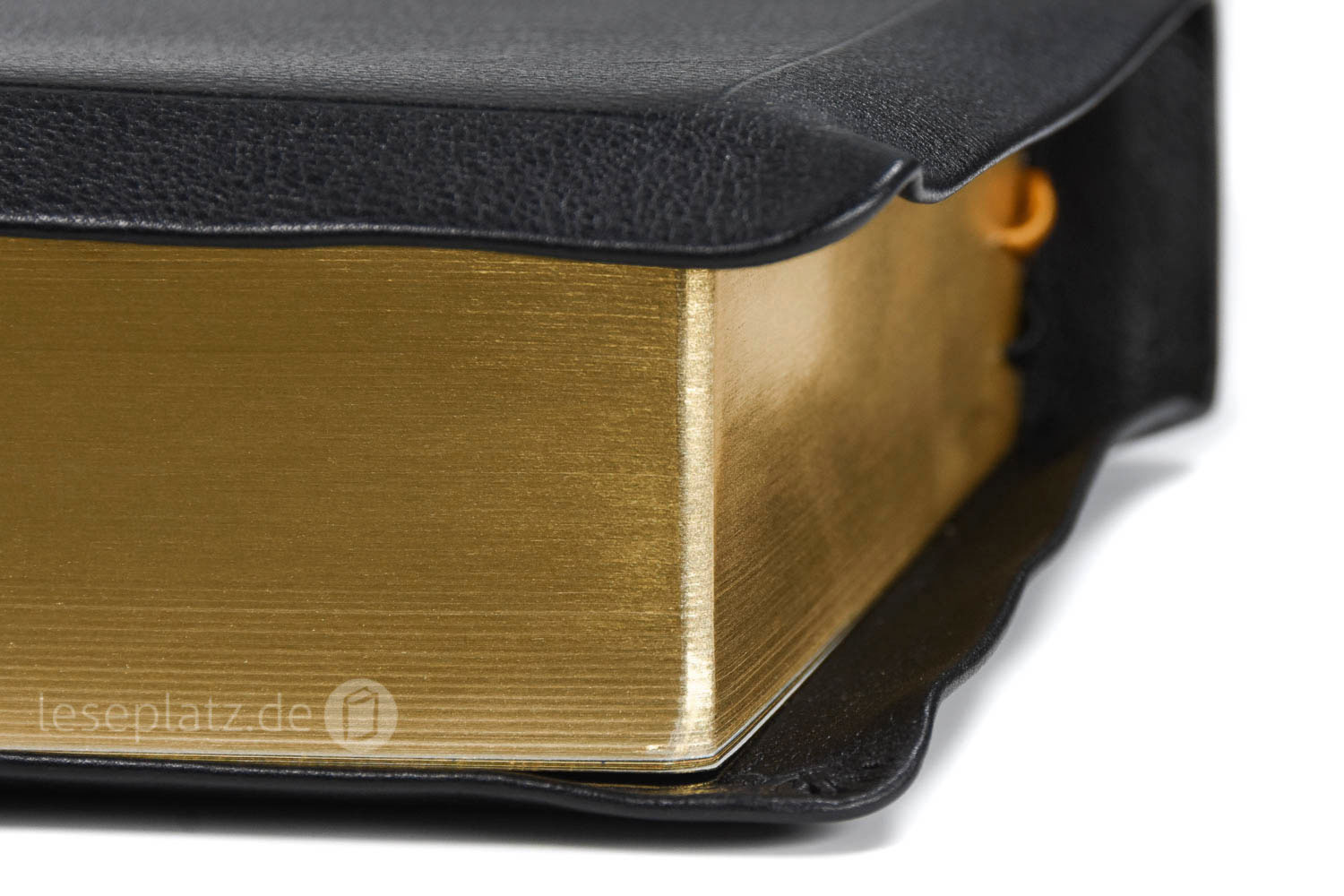 257153-4 Elberfelder 2003 - Standardausgabe mit Notizseiten / Leder schwarz / Goldschnitt