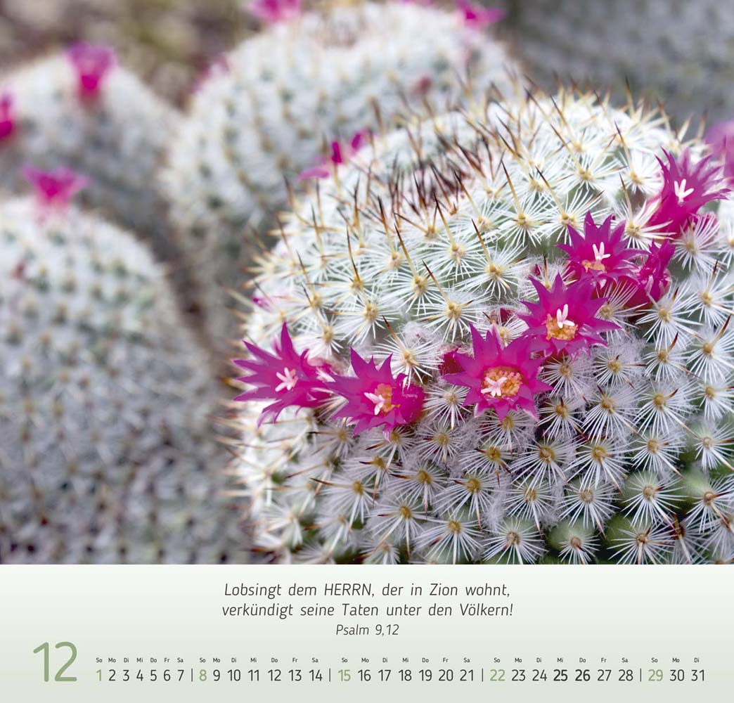 Gesichter der Natur 2024 Gesichter der Natur 2024