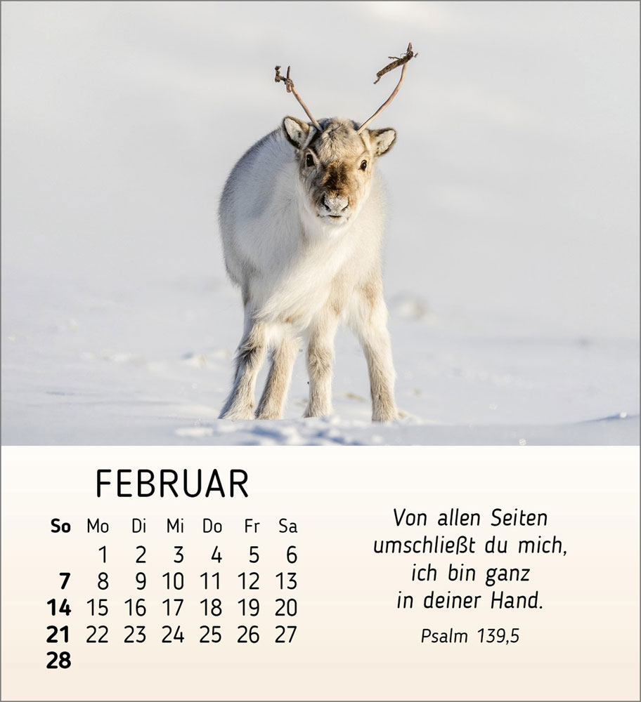 Meine kleinen Freunde 2027