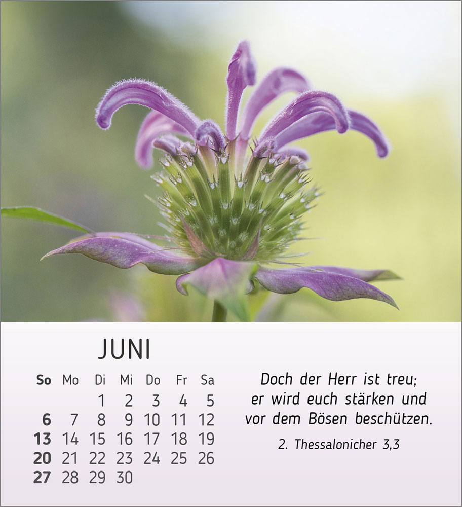 Stille Begegnungen 2027