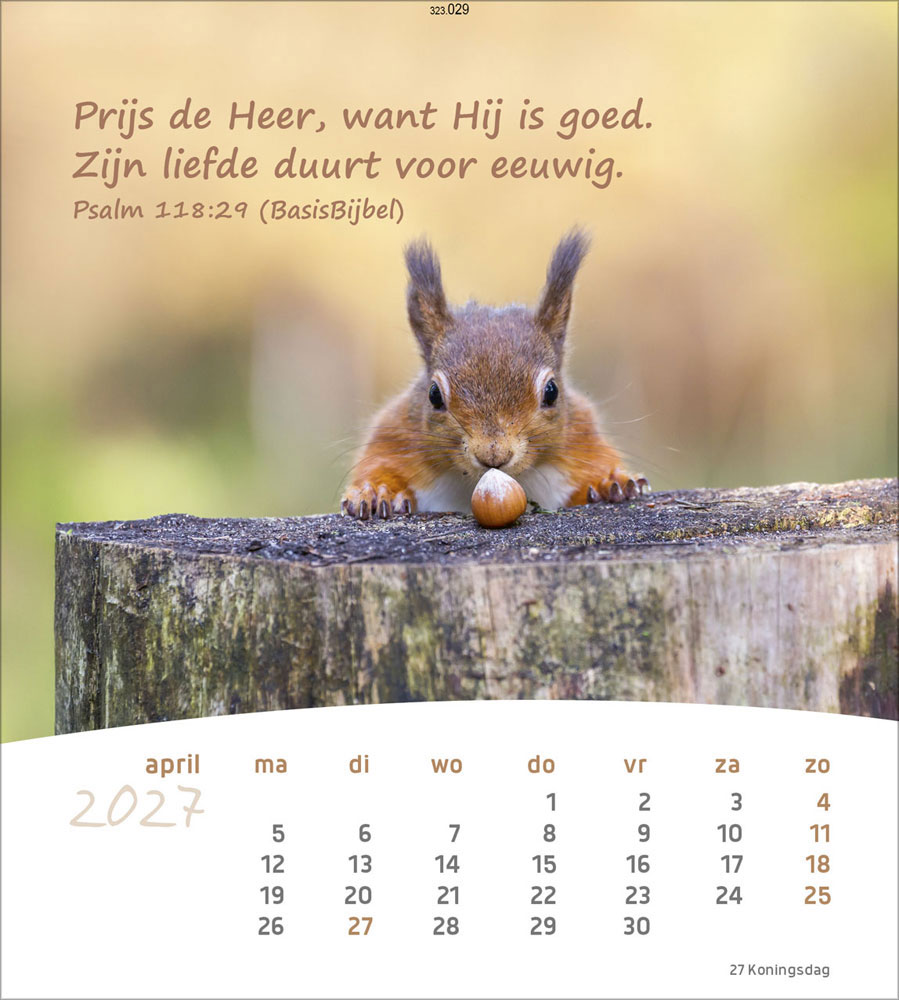 Leben für Dich 2027 - Verteilkalender (Niederländisch)