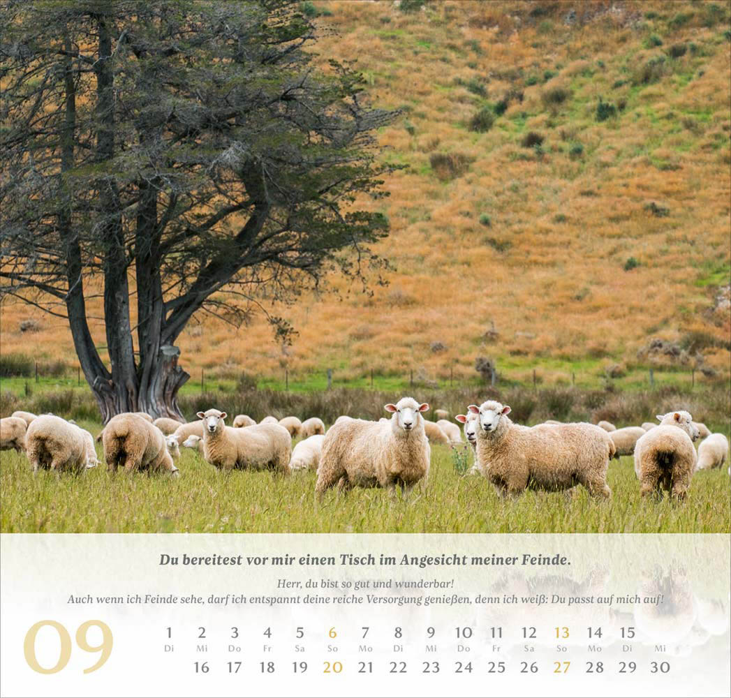 Psalm 23 - Wandkalender 2026