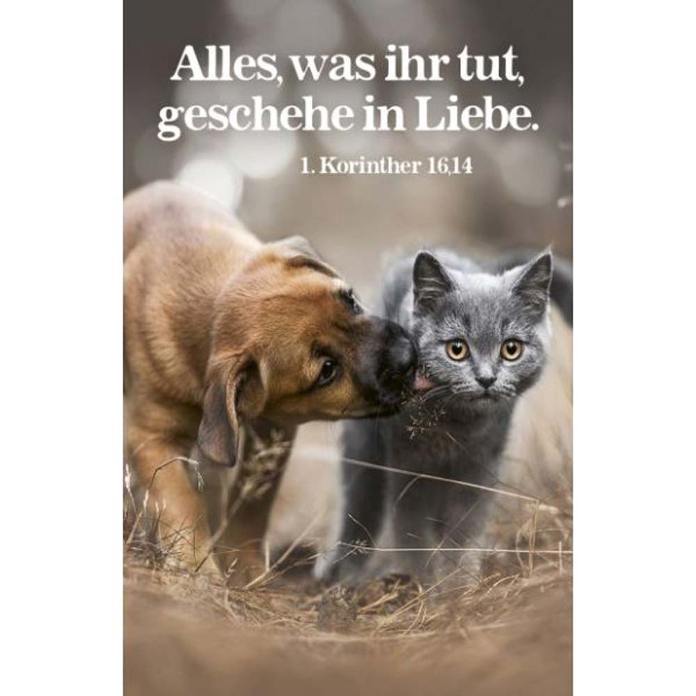 Kalenderkärtchen 2024 ''Hund und Katze"