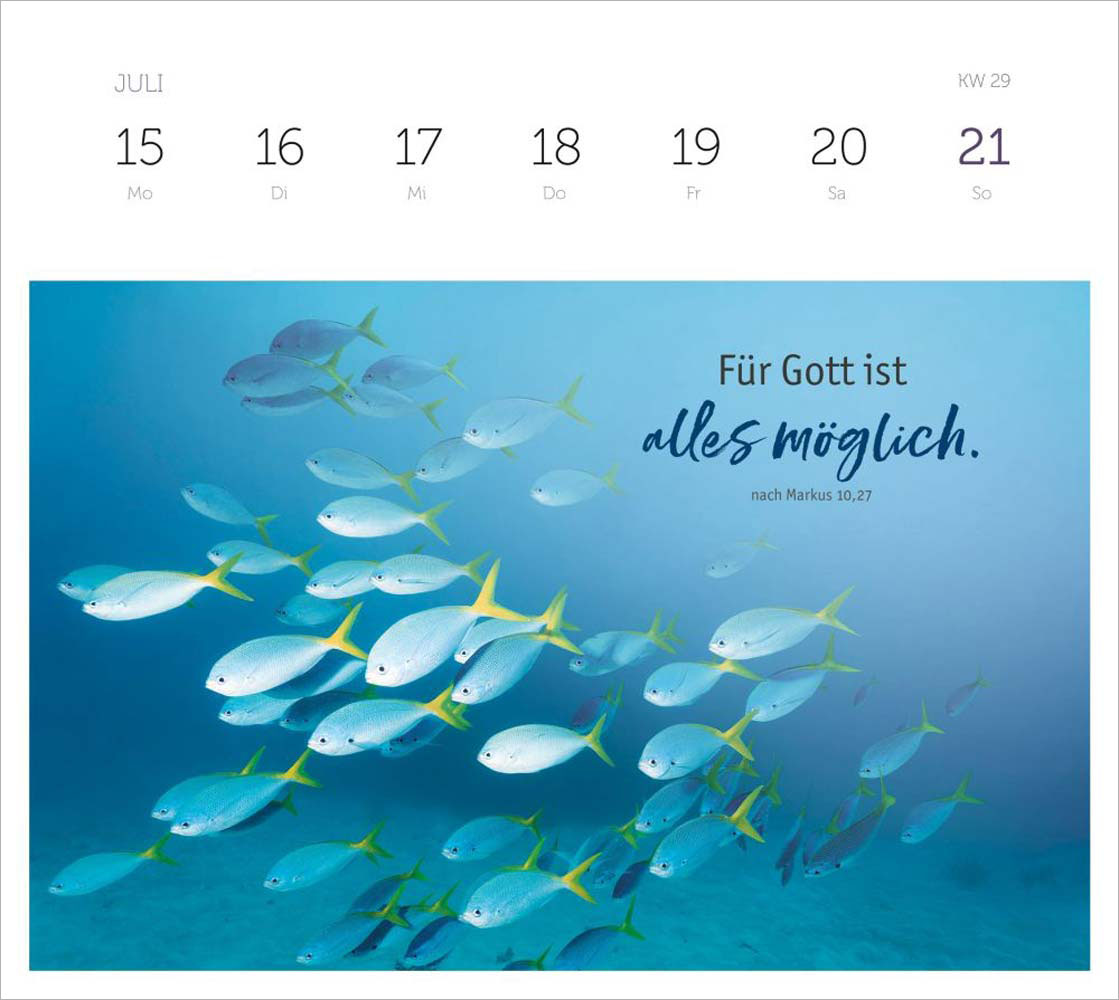 Grüne Wunder - blaue Weiten 2024 - Wochenplaner Grüne Wunder - blaue Weiten 2024 - Wochenplaner