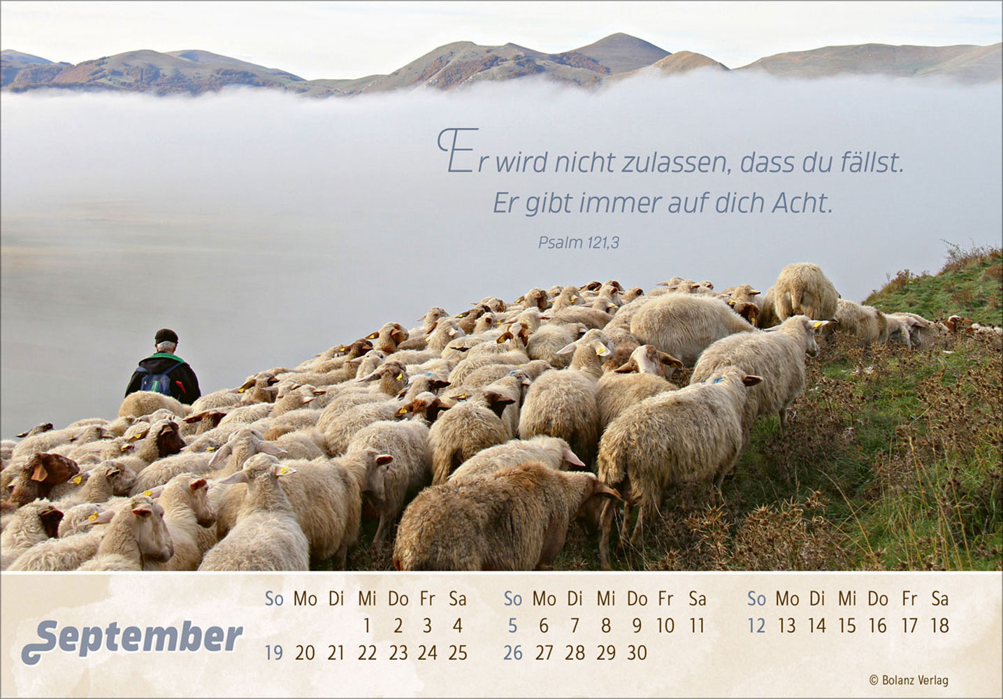 Der Gute Hirte 2027 - Postkartenkalender
