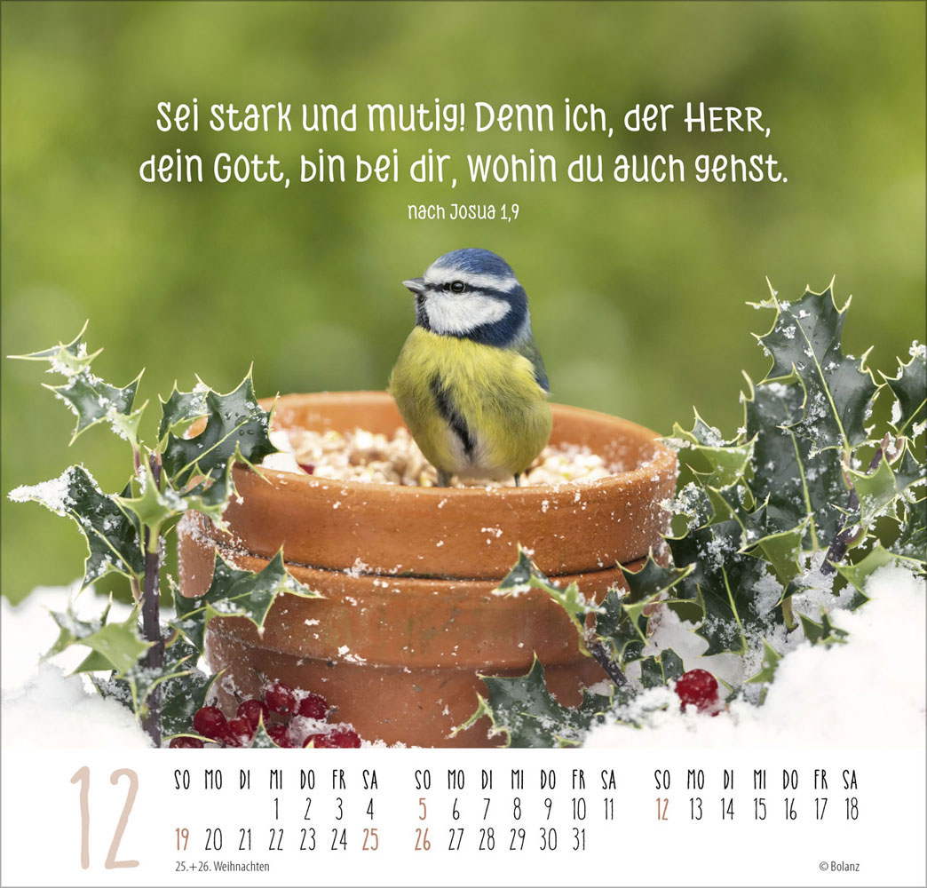 Beste Freunde - Ich mag dich  2027 - Posterkalender