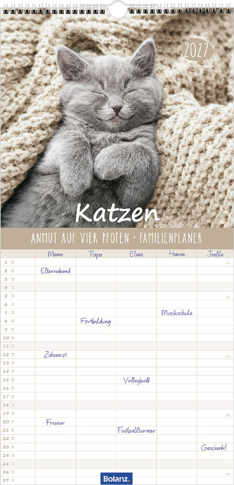 Familienplaner Katzen - 2027