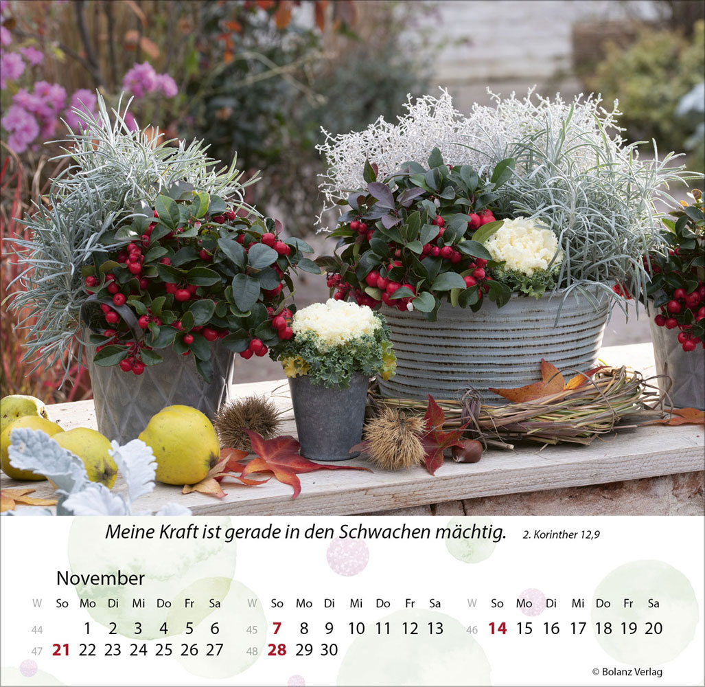 Gärten 2027 - Tischkalender