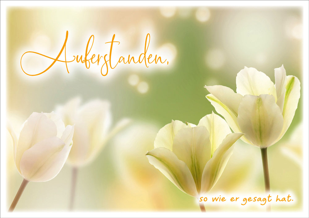 179710024-Ostern Faltkarte "Auferstanden"