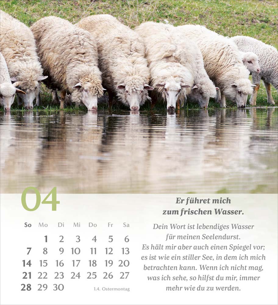 Psalm 23 - Tischkalender 2024 Psalm 23 - Tischkalender 2024