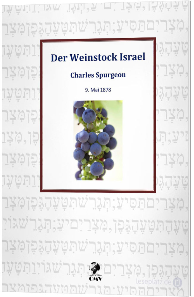 Der Weinstock Israel