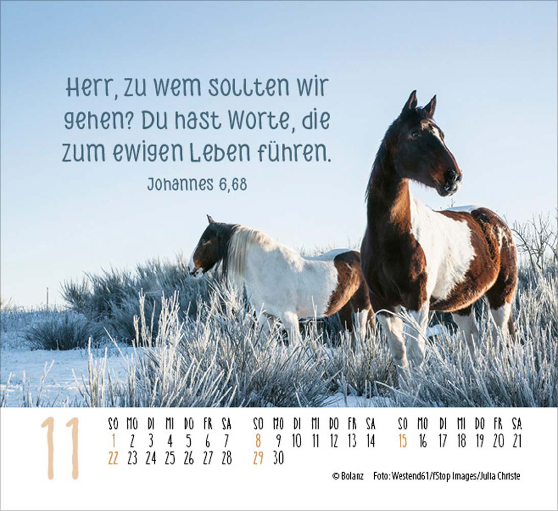 Pferde 2026 - Minikalender  