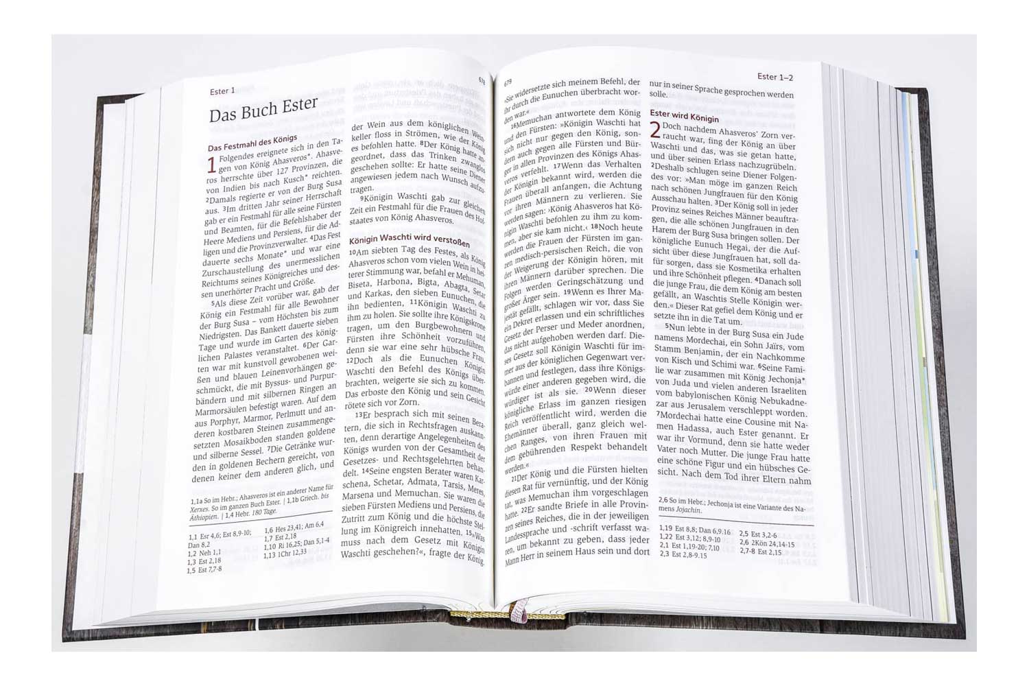 Neues Leben. Die Bibel - Standardausgabe "Blühende Worte"