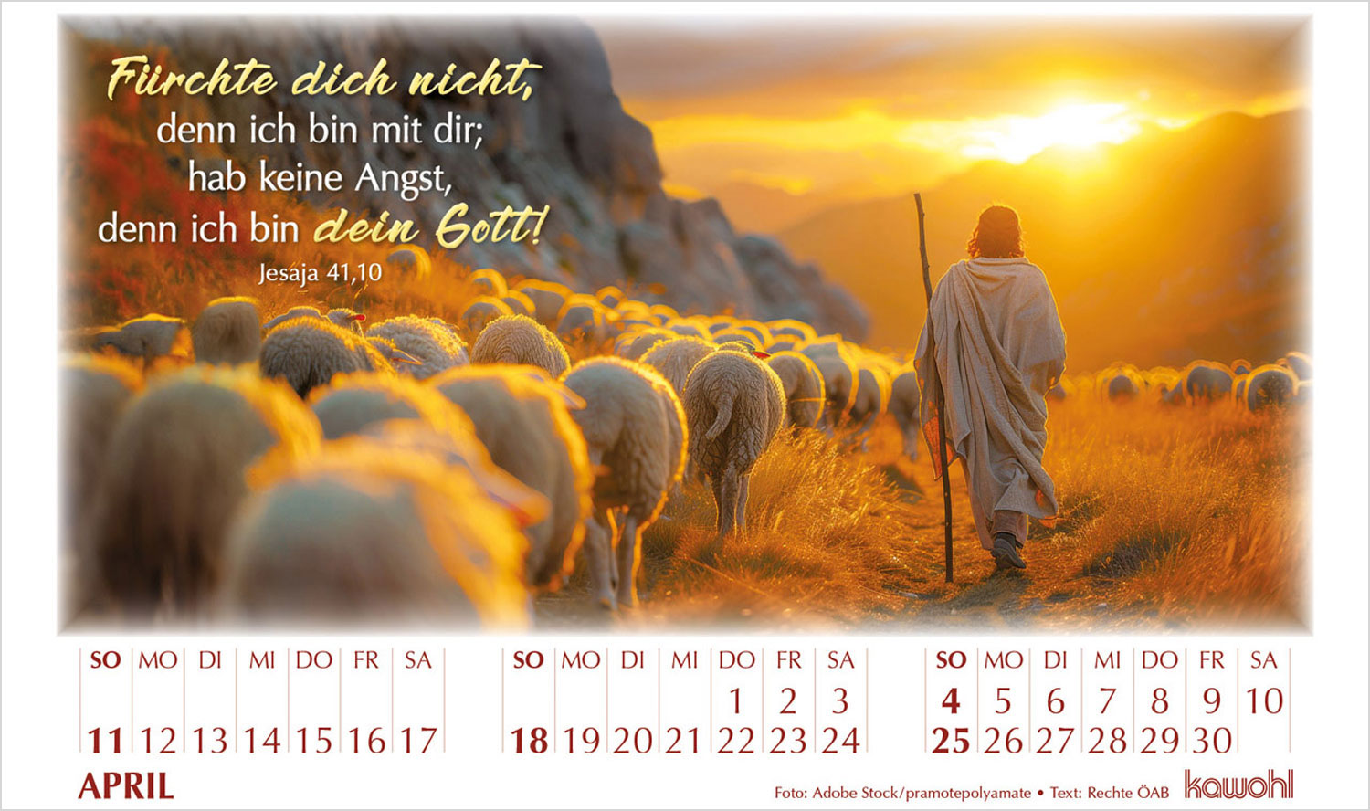 In seinem Licht 2027