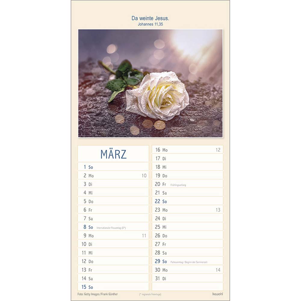 Meine Zeit in seinen Händen 2026 - Wandkalender
