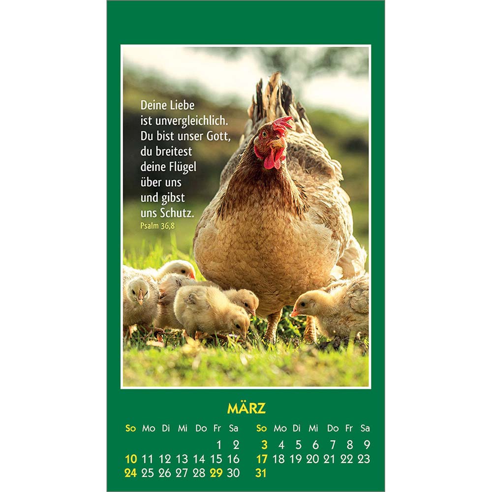 Hallo Du 2024 - Aufkleber-Kalender