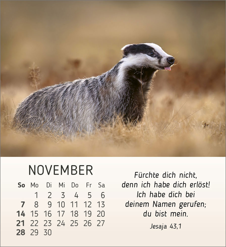 Stille Begegnungen 2027