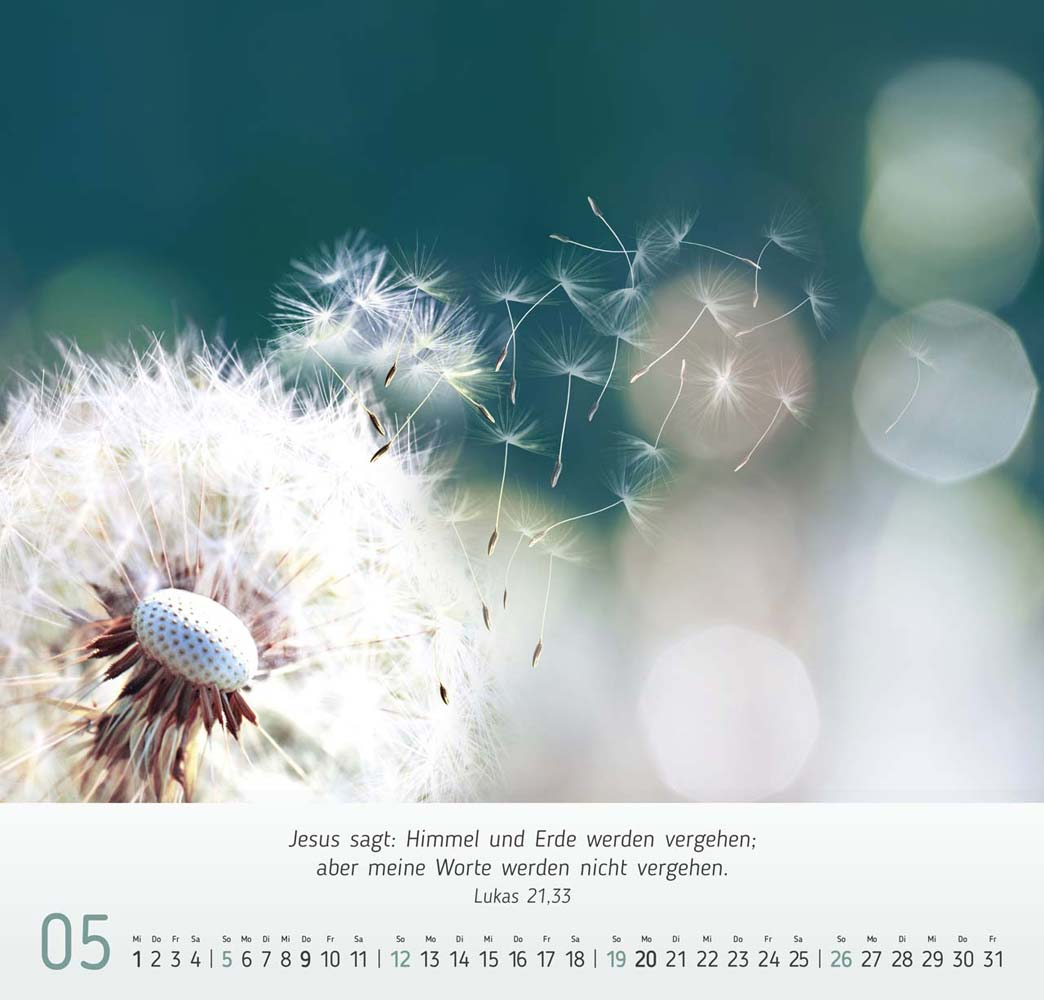 Gesichter der Natur 2024 Gesichter der Natur 2024